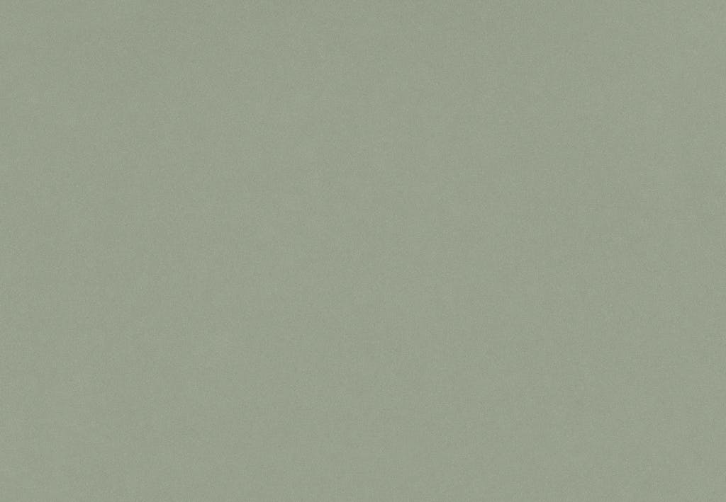 POSIDONIA GREEN SUEDE