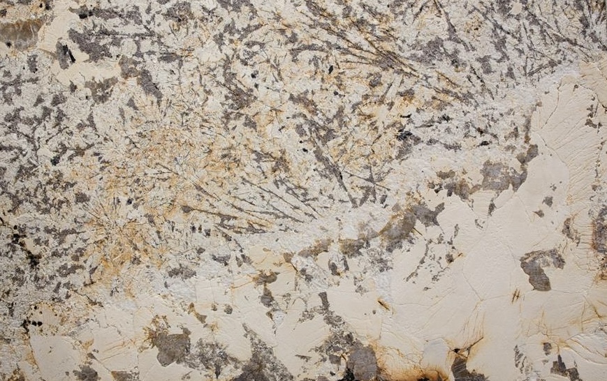 PATAGONIA FG